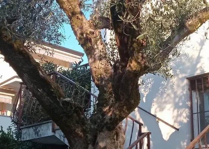 Casa Anna Apartamento Garda (Verona)